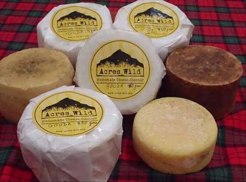 Cheese assortments made in India