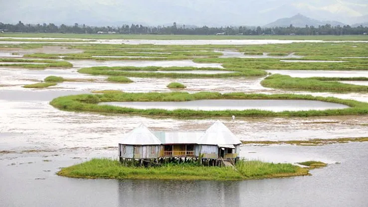 Floating National Park in Manipur