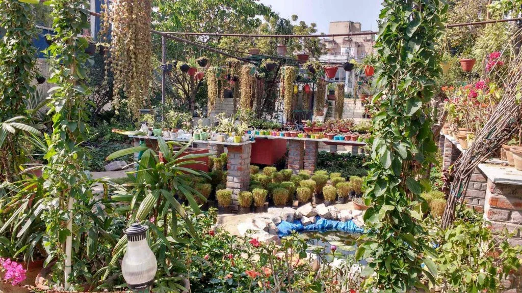Plant Nurseries in Jaipur