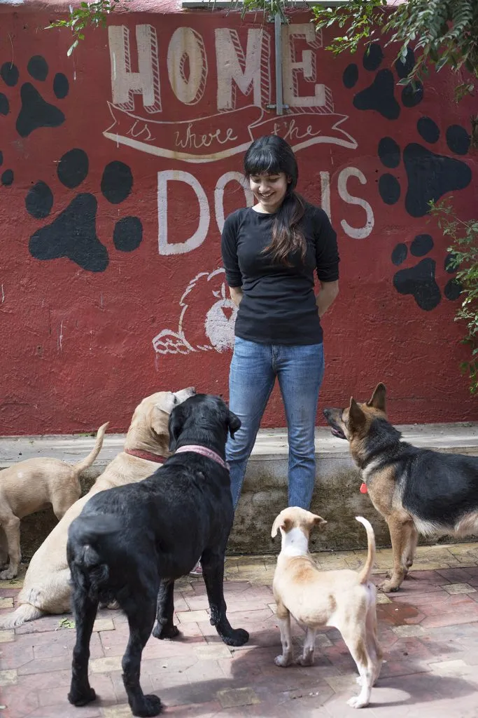 Organizations making dog adoption easier