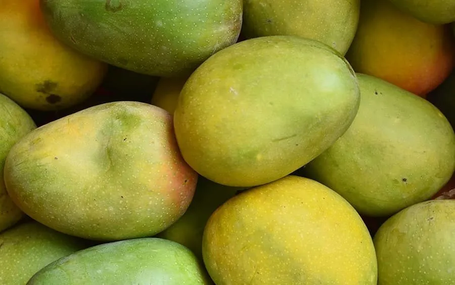 
mangoes online 